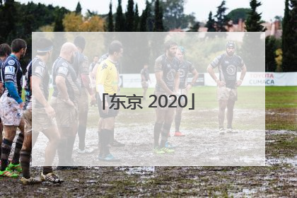 「东京 2020」东京食尸鬼